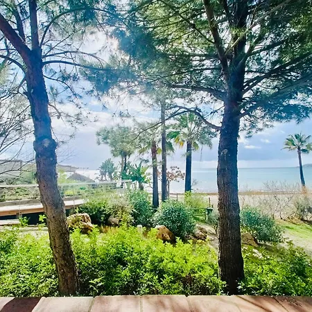 Luxury Del Mar Dp7 Casares